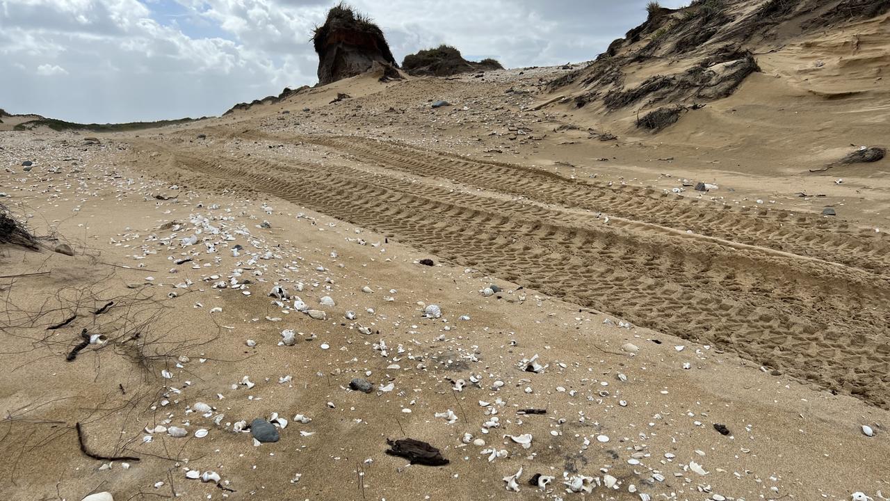 The ancient shell middens are over 40,000-years-old. Pictures: Supplied.