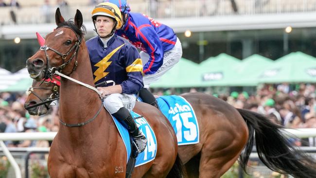 Moby Dick on the way to the barriers at Flemington. Picture: George Sal/Racing Photos via Getty Images