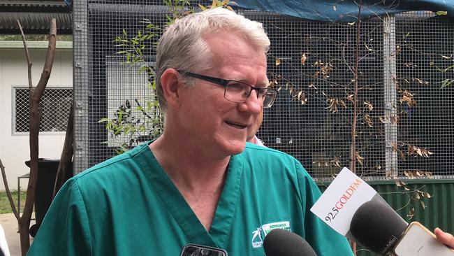 Currumbin Wildlife Hospital Senior Vet Michael Pyne. Picture: Lea Emery