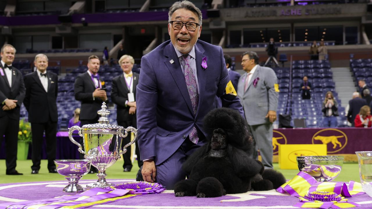 Dog handler Kaz Hosaka posed happily with his winner, the miniature poodle crowned Best in Show at the 148th Annual Westminster Kennel Club Dog Show in New York on Tuesday night local time. Picture: Michael Loccisano/Getty Images for Westminster Kennel Club