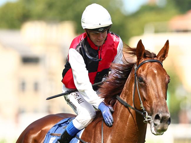 SYDNEY, AUSTRALIA - DECEMBER 30: Kerrin Mcevoy riding Grebeni  wins Race 7 Drinkwise Maroubra Mile during Sydney Racing at Royal Randwick Racecourse on December 30, 2023 in Sydney, Australia. (Photo by Jeremy Ng/Getty Images)