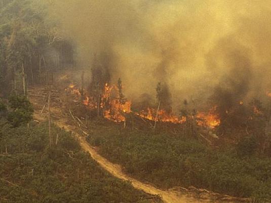 Aerial view of a fire in the Amazon Rainforest.