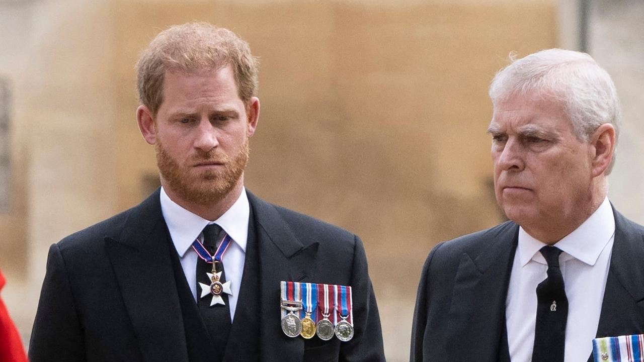 Prince Harry and Andrew are seen at the Queen’s funeral (Photo by David Rose / POOL / AFP)
