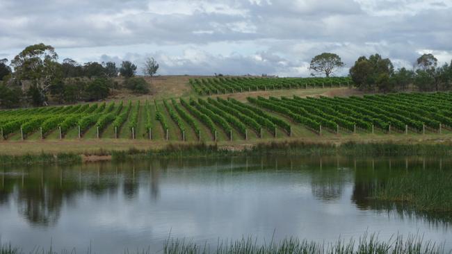 Sophie's at Milton restaurant at Swansea offers French-style dining by the vines. Picture: LIBBY SUTHERLAND