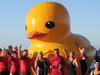 This undated handout photo supplied on March 18, 2018 by Perth's Cockburn Masters Swimming Club shows swimmers posing with a giant inflatable duck they named Daphne in Perth. The Australian swimming club is appealing for ocean watchers to find their giant yellow inflatable duck Daphne, after the mascot was blown into the Indian Ocean with reported sightings hundreds of kilometres from where it was launched. The duck, owned by Cockburn Masters Swimming Club, was last seen at Perth's Coogee Beach in the early hours of March 11 as organisers prepared for a carnival. / AFP PHOTO / PERTH'S COCKBURN MASTERS SWIMMING CLUB / Nick WYATT /  - NO Internet / -----EDITORS NOTE --- RESTRICTED TO EDITORIAL USE - MANDATORY CREDIT "AFP PHOTO / NICK WYATT / PERTH'S COCKBURN MASTERS SWIMMING CLUB" - NO MARKETING - NO ADVERTISING CAMPAIGNS - DISTRIBUTED AS A SERVICE TO CLIENTS - NO ARCHIVES