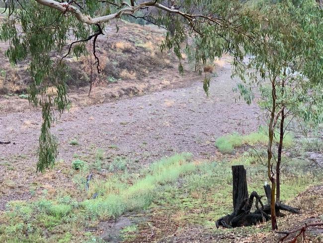 Namoi River before the deluge of rain. Picture: Twitter