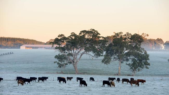 Frost is seen near Meadows in the Adelaide Hills. Picture: File