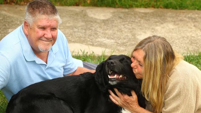 Sully is reunited with his owners Michael Mugge and Miriam Edwards. Picture: Alison Wynd