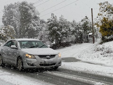 Snow falling thick and fast in Fern Tree, in Hobart, Tasmania on August 4, 2020. Picture: Iain Kelly