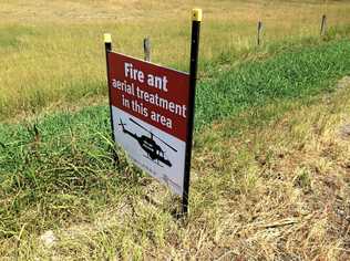 Fire ant warning sign at Warrill View. Picture: Gerard Walsh