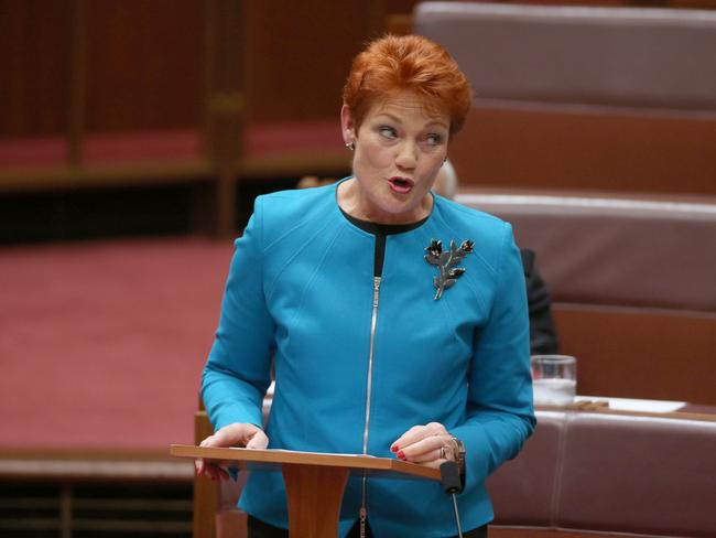 Senator Pauline Hanson gives her first speech in the Senate chamber in Parliament House in Canberra. Picture: Gary Ramage