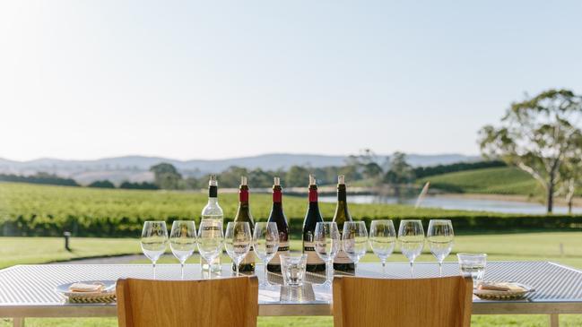 Wine flight and view.