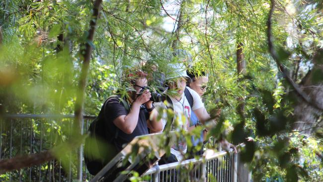 A large number of people flocked to the Coast’s national parks. Photo: Supplied