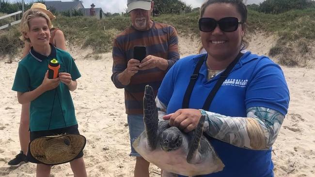 Amanda Philp ready to release rescued turtle Jolene.