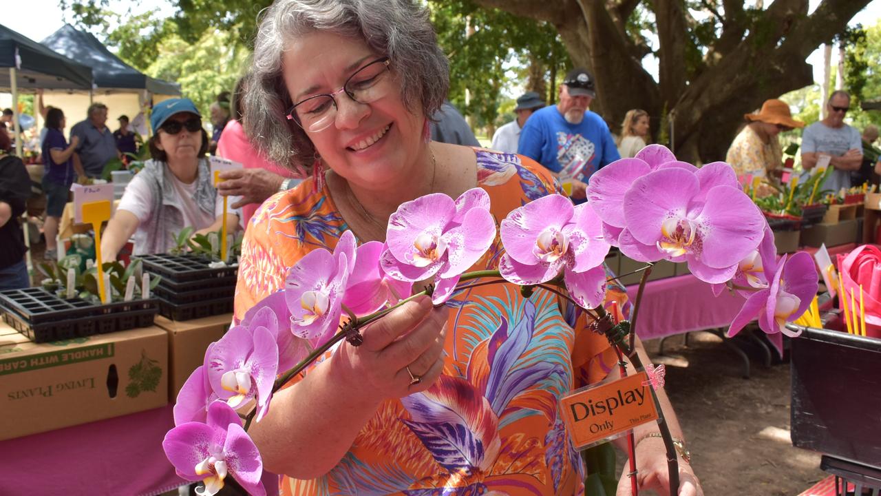 Susan Rawlings with a phalaenopsis Fullers orchid at the Orchid Extravaganza at Queens Park. Photo: Janessa Ekert