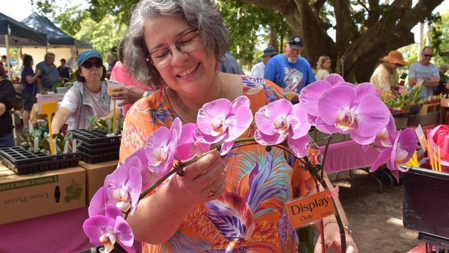 Susan Rawlings with a phalaenopsis Fullers orchid at the Orchid Extravaganza at Queens Park. Photo: Janessa Ekert