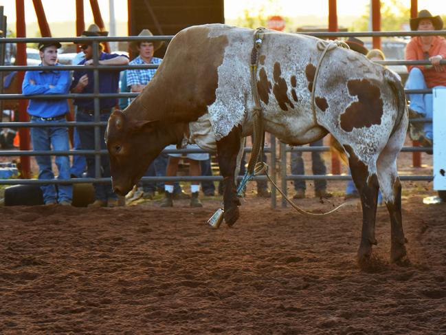 Photos from the 50th Noonamah Tavern Rodeo, September 31 , 2024. Picture: Darcy Jennings.