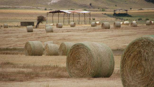 Win-win situation: Some buyers are picking up hay early at reasonable prices and this is freeing up shed space for vendors.