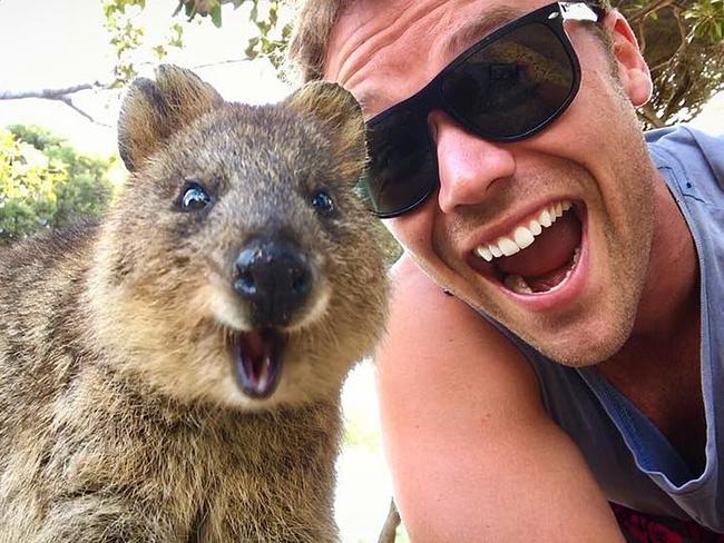 9,739 likes ... Lincoln Lewis: Rottnest Island, Western Australia - Just genuinely stoked #quokka #aussienewstoday #justanotherdayinwa @australia #seeaustralia. Picture: @linc_lewis/Instagram