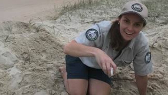 Endangered turtles move into Gold Coast