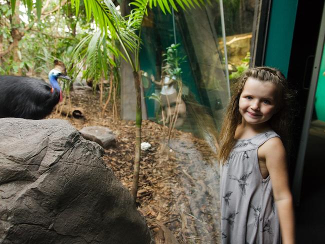 WILD LIFE Sydney Zoo. Picture: Supplied