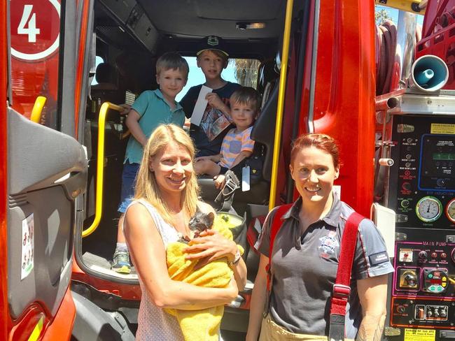 Harry the kitten has used up two of his lives after he was rescued from a washing machine in Brunswick. Picture: MFB/Supplied