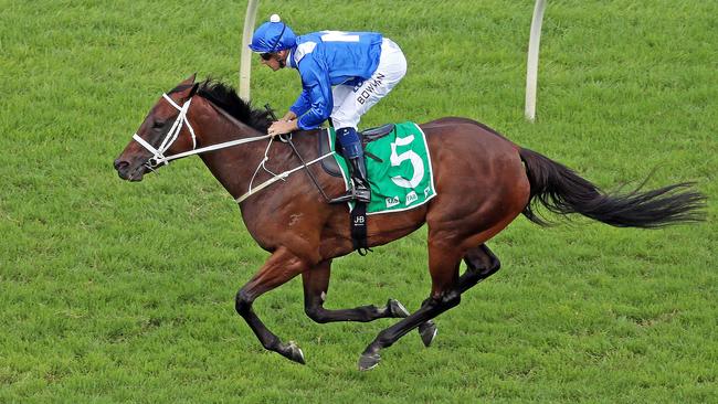 Winx is set for retirement and her owners are considering breeding the champion mare. Picture: Sam Ruttyn