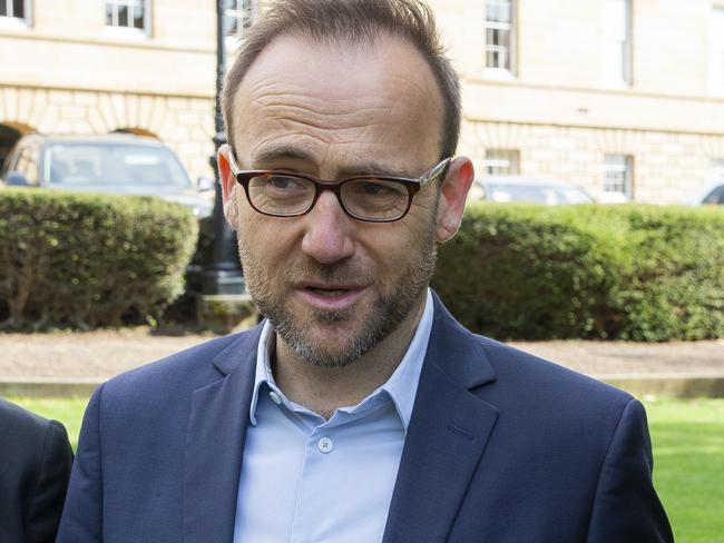 Leader of the Australian Greens Adam Bandt. Picture: David Killick