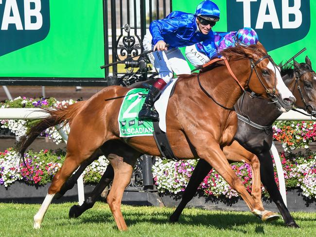 Cascadian (GB) ridden by Ben Melham wins the TAB Australian Cup at Flemington Racecourse on March 30, 2024 in Flemington, Australia. (Photo by Pat Scala/Racing Photos via Getty Images)