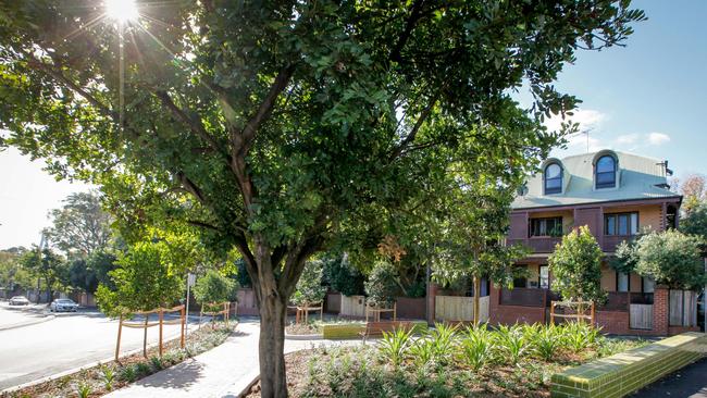 The Inner West’s tree canopy cover is less than half of the Greater Sydney Commission’s 40 per cent target.