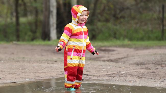 Beatrix, 2, enjoys playing in the puddles at Belair. Picture: Tait Schmaal