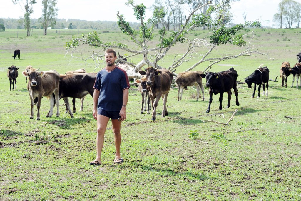 Better deal on the horizon for our dairy farmers The Courier Mail