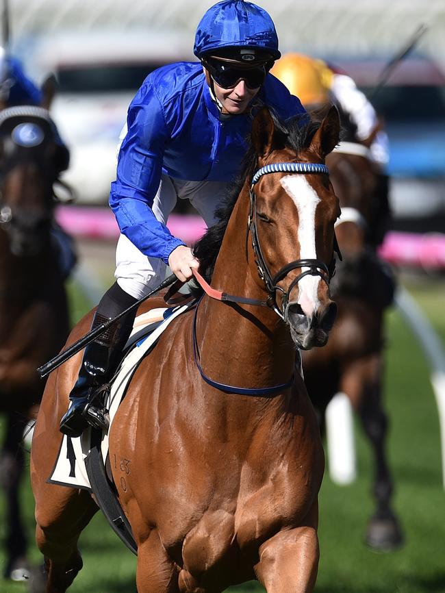 Hartnell is a red hot fancy for the Melbourne Cup ...