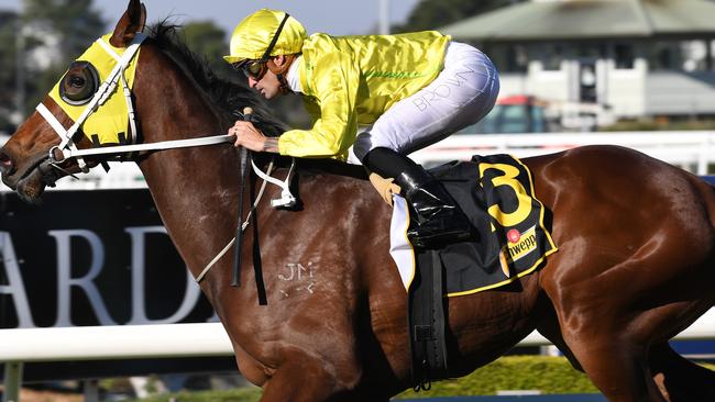 Rosehill Gardens Winter Challenge, Race 6 -SCHWEPPES HANDICAP (2000 METRES) Winner NO 13 Vaucluse Bay, ridden by Jockey Corey Brown in Sydney, Saturday, July 29, 2017. (AAP Image/Brendan Esposito) NO ARCHIVING, EDITORIAL USE ONLY