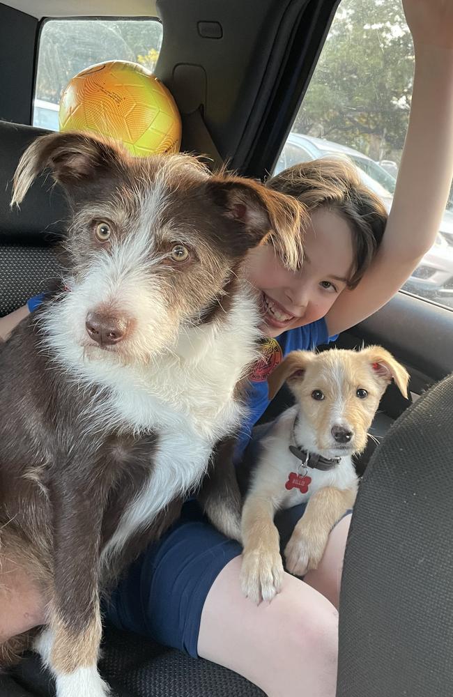 Sarah Higginson (mum) and daughter Maddison Arthur, who is hospital with leukaemia. These are Maddy’s dogs, Buddy is the darker dog on the left, Billie the lighter colour on right.