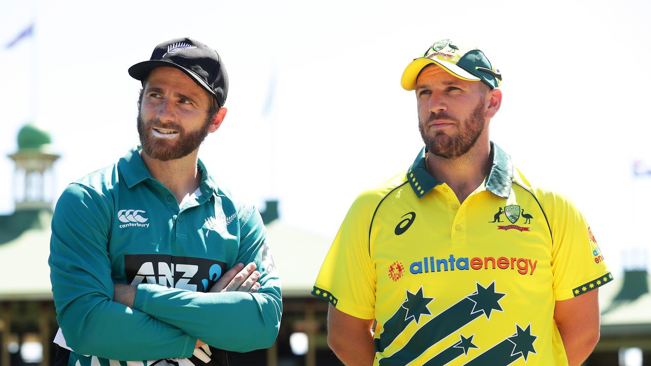 Brendon Julian says Australia should take on New Zealand annually in a Bledisloe Cup of cricket. Photo: Getty Images