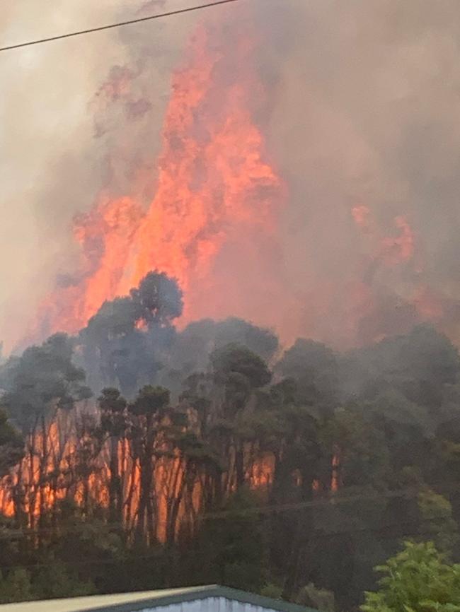 A bushfire in Rosebery. Pic: Scott Stevens