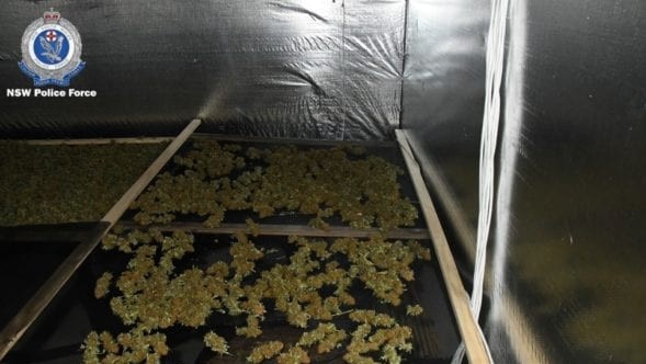 The property had been extensively modified to grow cannabis. Picture: NSW Police.