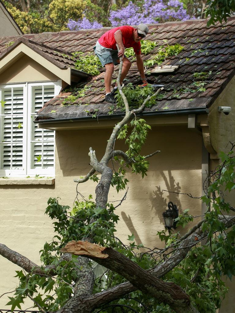 The clean up operationin Church Street, Pymble, after a storm hit some of the northern suburbs of Sydney. Picture: Justin Lloyd