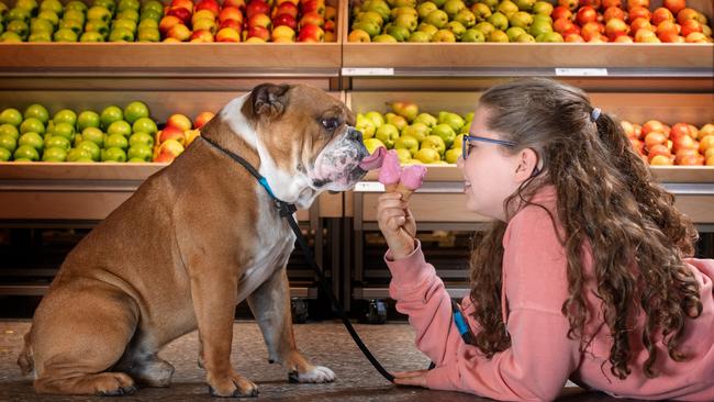 Coles is opening a new local store in Hawthorn with some new quirky elements including a dog ice cream bar. Picture: Tony Gough