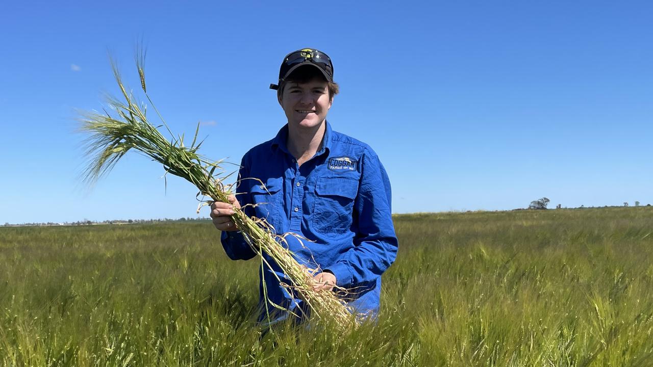 State-of-the-art technology helps produce lamb, beef and grain