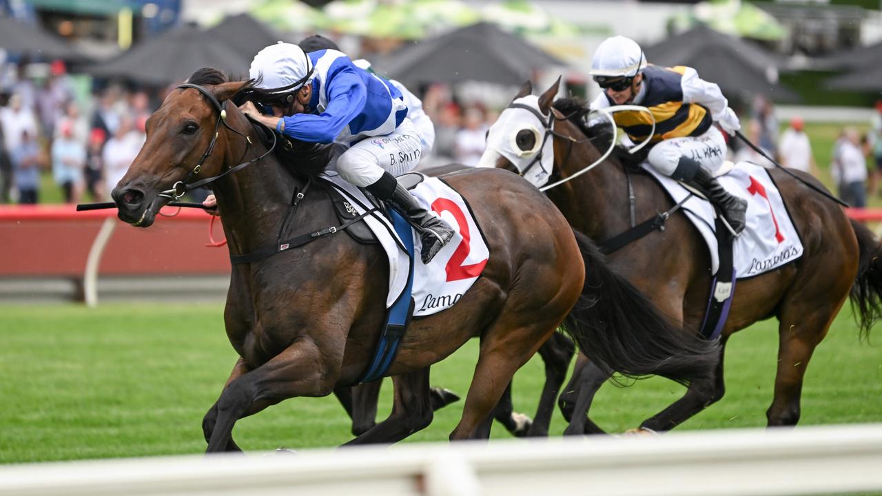 Alligator Blood is favourite for the $5m All-Star Mile. Picture: Racing Photos
