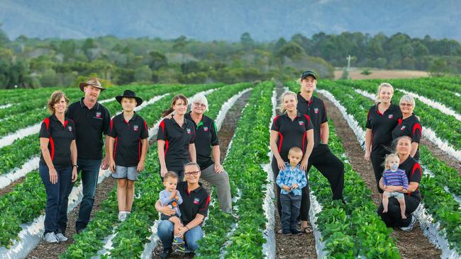 Family affair: The Schiffke and Stothart families of Taste 'N See strawberries in Queensland.