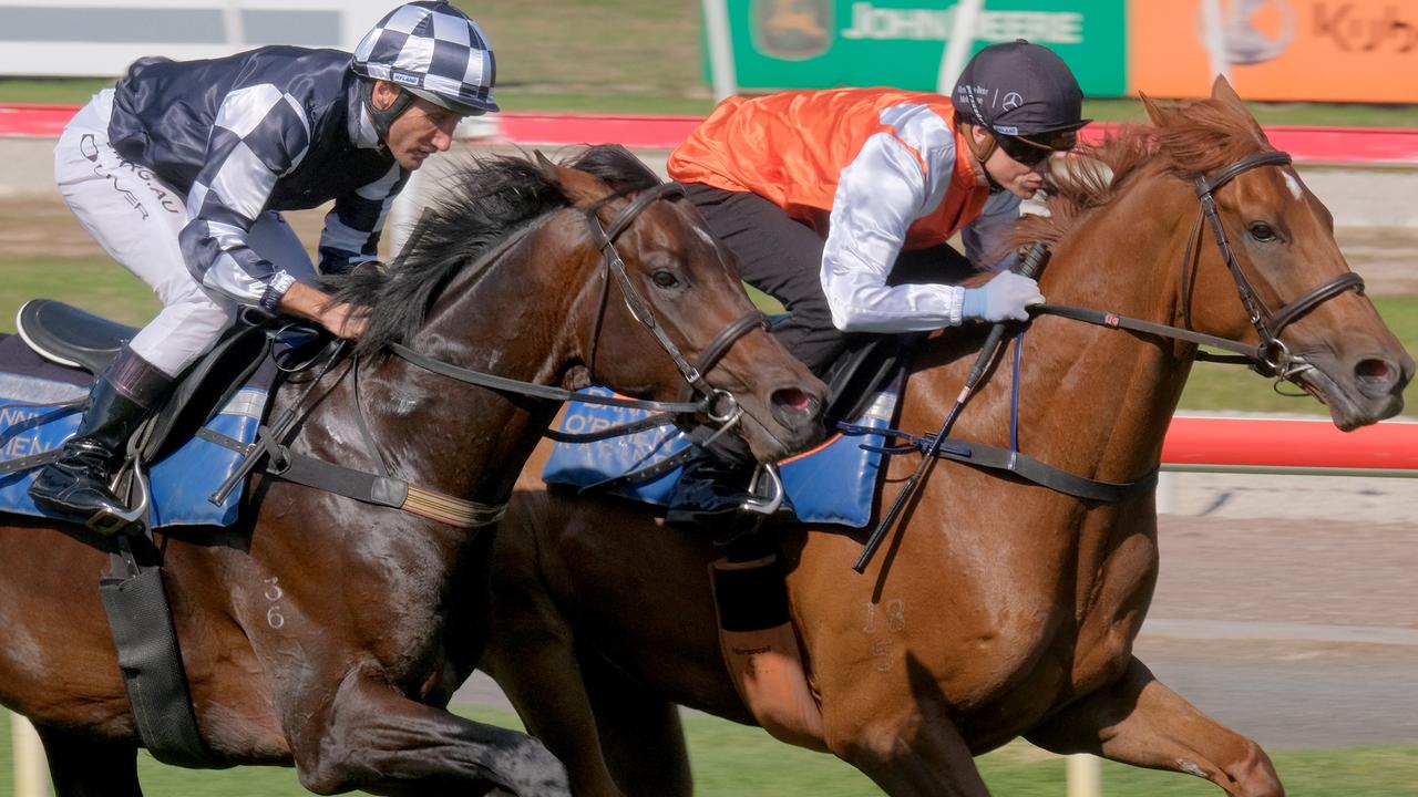 2019 Melbourne Cup winner Vow and Declare ridden by Craig Williams ( front horse) and Russian Camelot ridden by Damien Oliver ( on left) hit the track at Geelong Racing Club .Picture: Mark Wilson