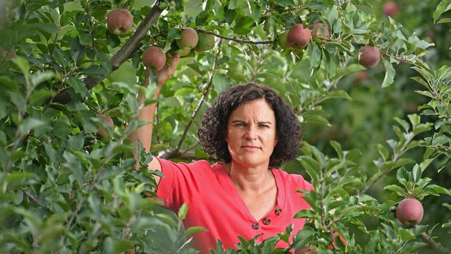 Susie Green, chief executive of Apple &amp; Pear Growers Association of SA, in a Lenswood apple orchard. Picture: Tom Huntley