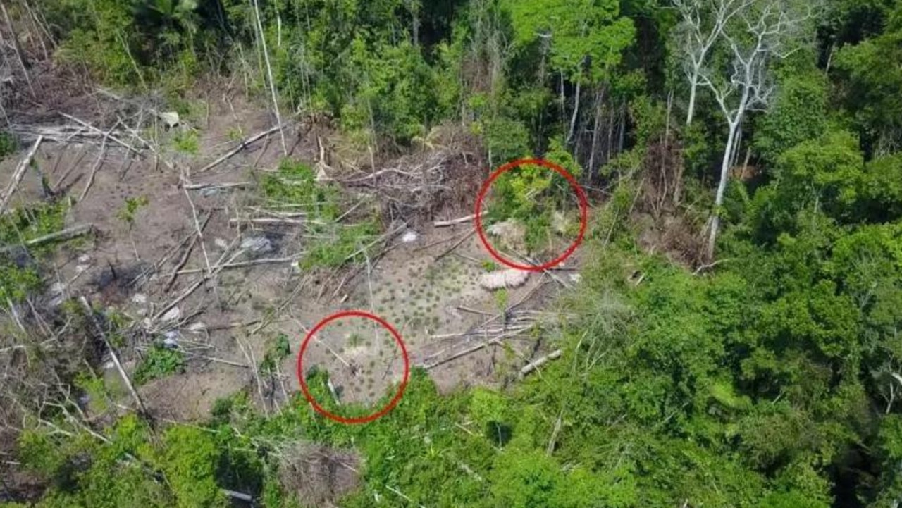 A photograph from the drone video of uncontacted Indian tribespeople in Brazil. The red circles will help you know where to look for people when you watch the video.