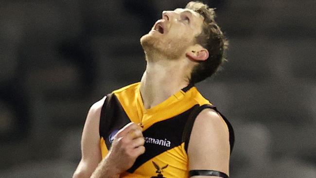 Will Ben McEvoy be part of the Hawks’ next flag? Picture: Michael Klein