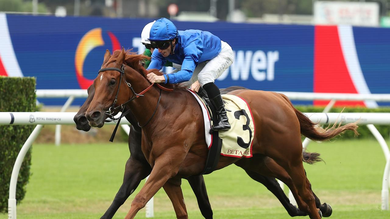 Tempted is the second favourite for the Golden Slipper. Picture: Jeremy Ng/Getty Images.