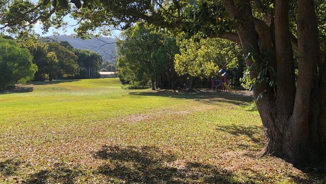 There’s a playground and a large fig tree in the corner that comes with the park. Picture: Amanda Robbemond