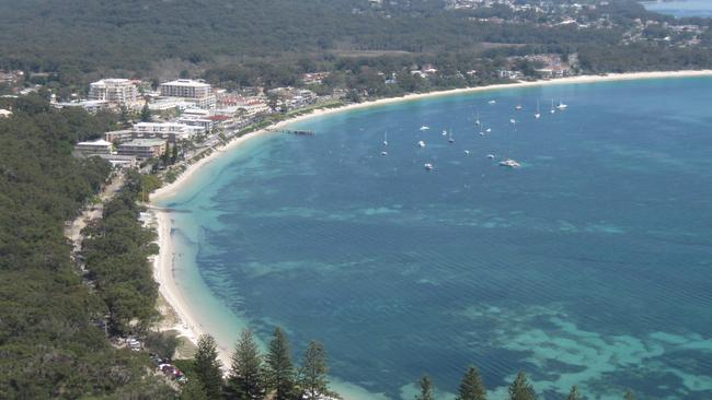 Reports of large great white sharks only metres off the sand of Shoal Bay Beach were made in consecutive days. Picture: Supplied